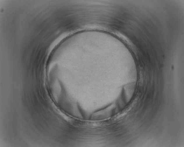 X0000067381286200604281807