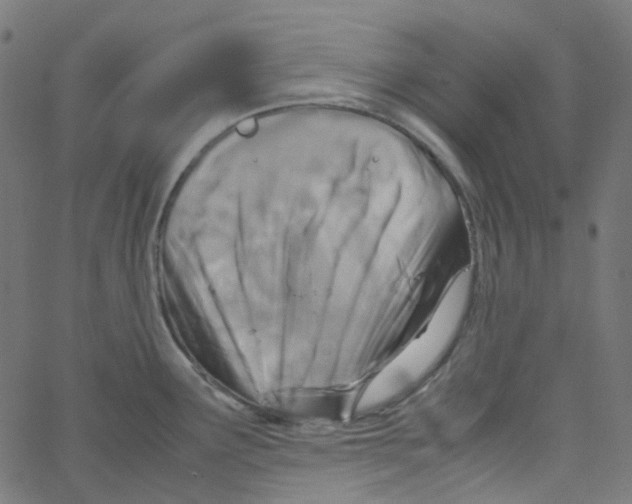 X0000067381291200604281807