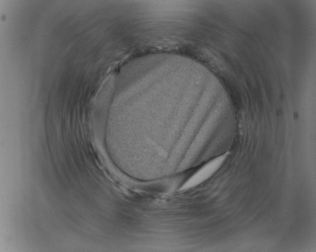 X0000067381298200604281806