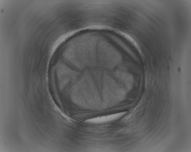 X0000067381327200604281807