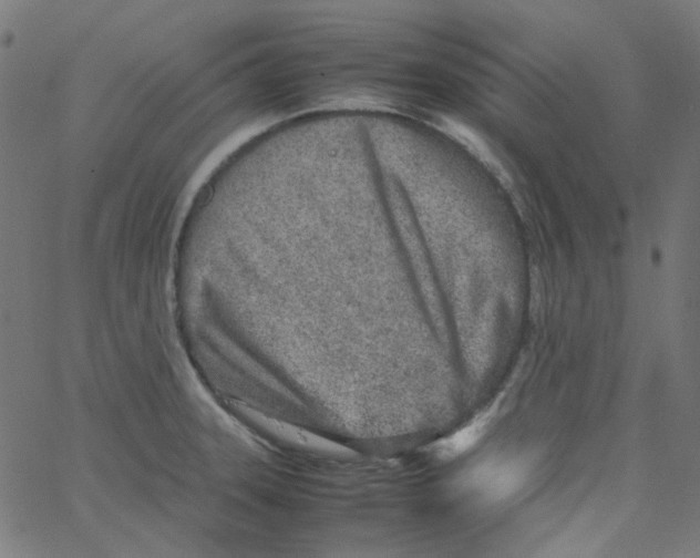 X0000067381331200604281807
