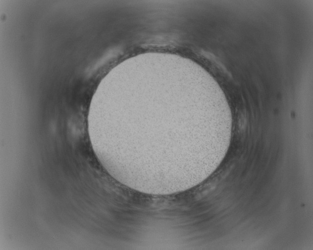 X0000067381350200604281806