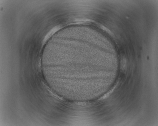 X0000067381362200604281806