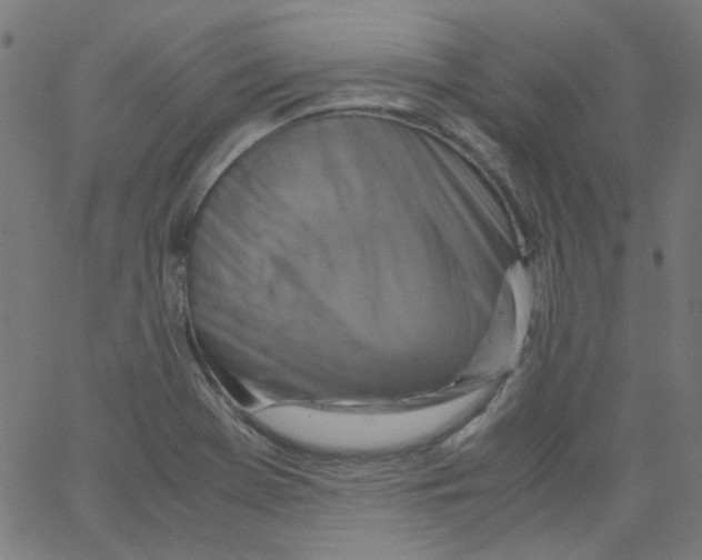 X0000067381369200604281806