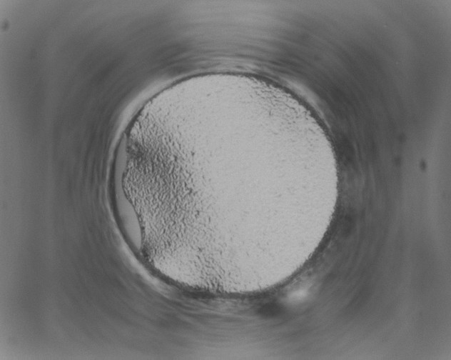X0000067381379200604281806
