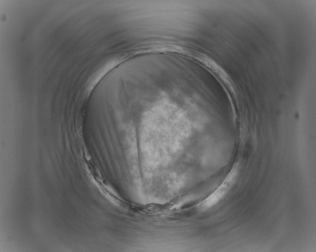 X0000067381385200604281805