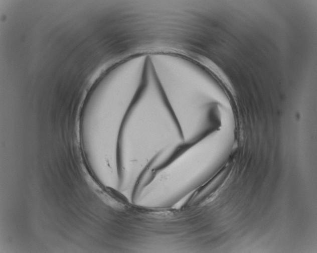 X0000067381388200604281805
