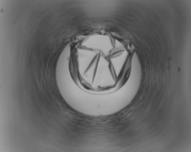 X0000067381394200604281805