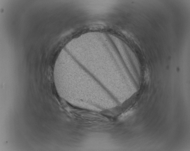 X0000067381445200604281804