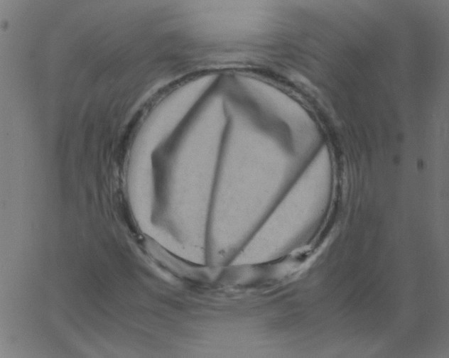 X0000067381449200604281804