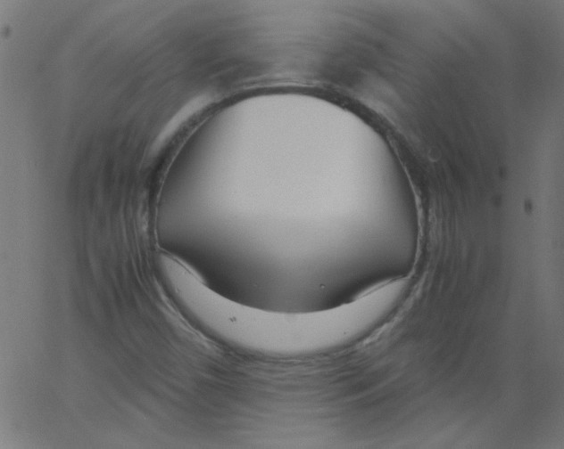 X0000067381450200604281804