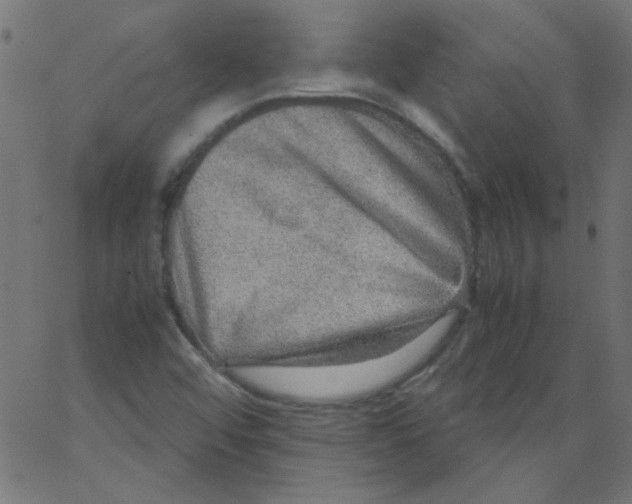 X0000067381456200604281804