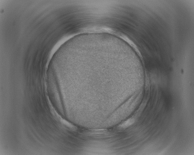 X0000067381486200604281804