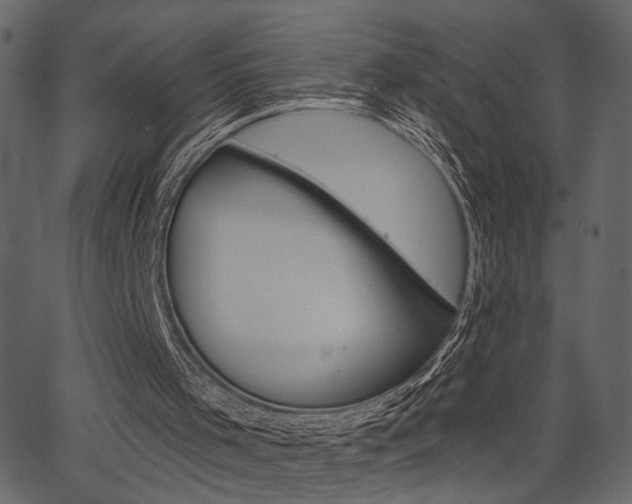 X0000067390001200603311007