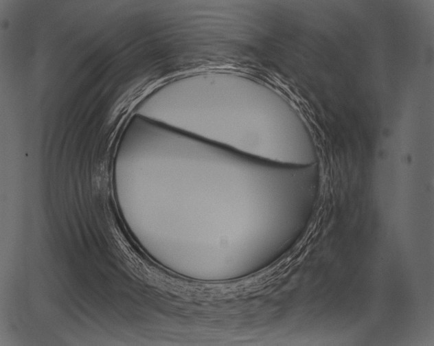 X0000067390002200603311007