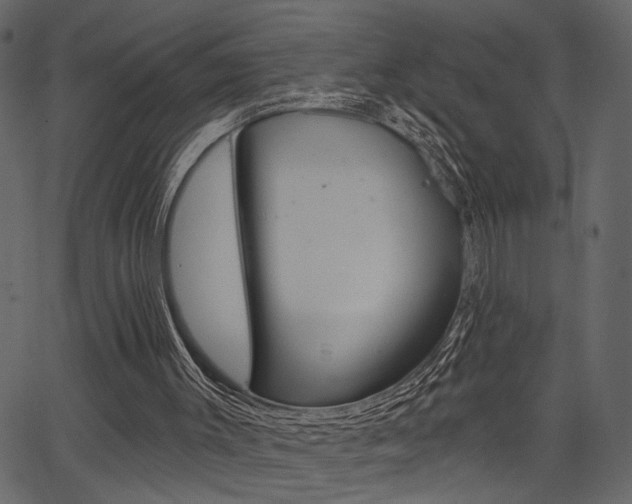 X0000067390003200603311007