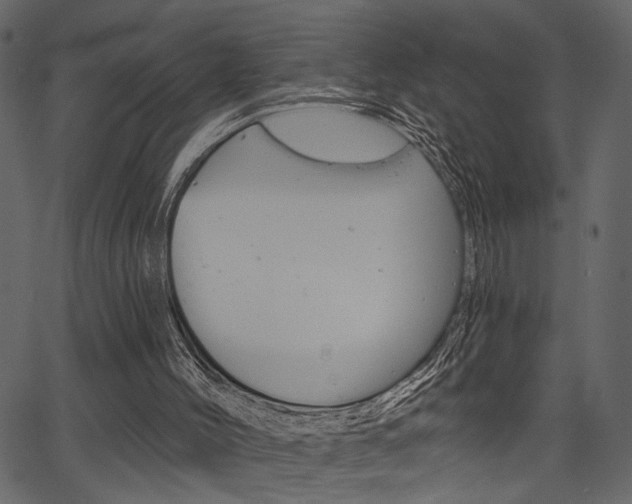 X0000067390004200603311007