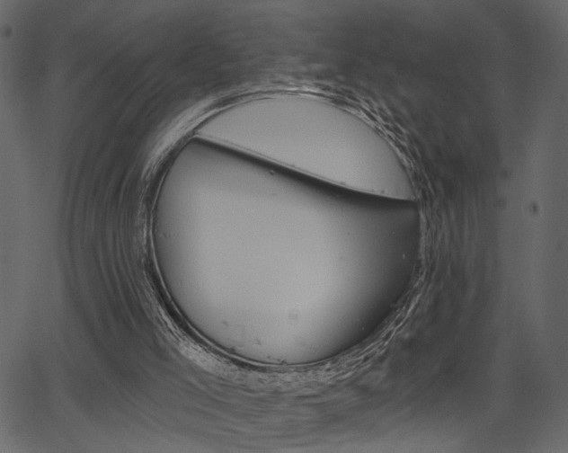 X0000067390005200603311007