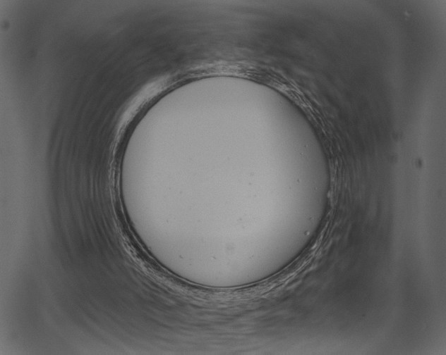 X0000067390006200603311007