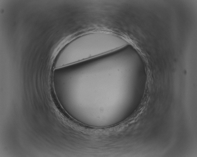 X0000067390007200603311007