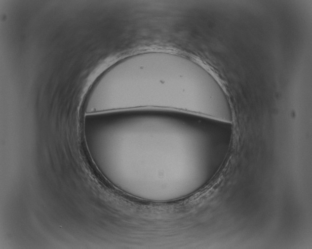 X0000067390008200603311007