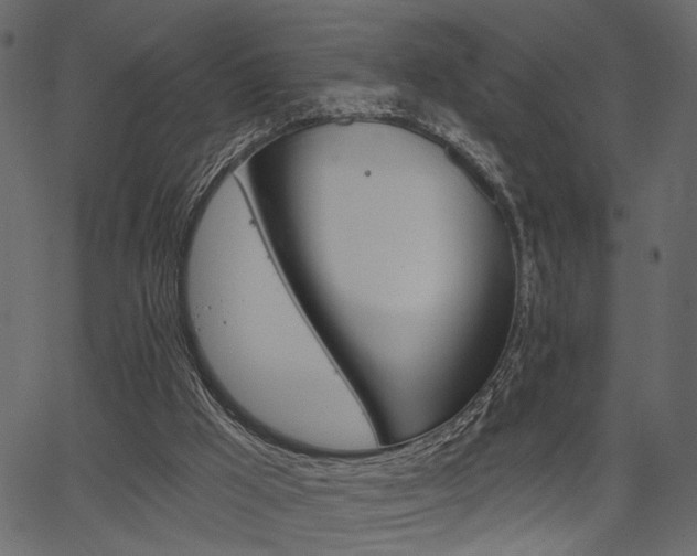 X0000067390009200603311007