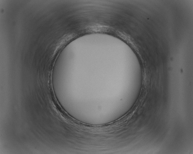 X0000067390010200603311007