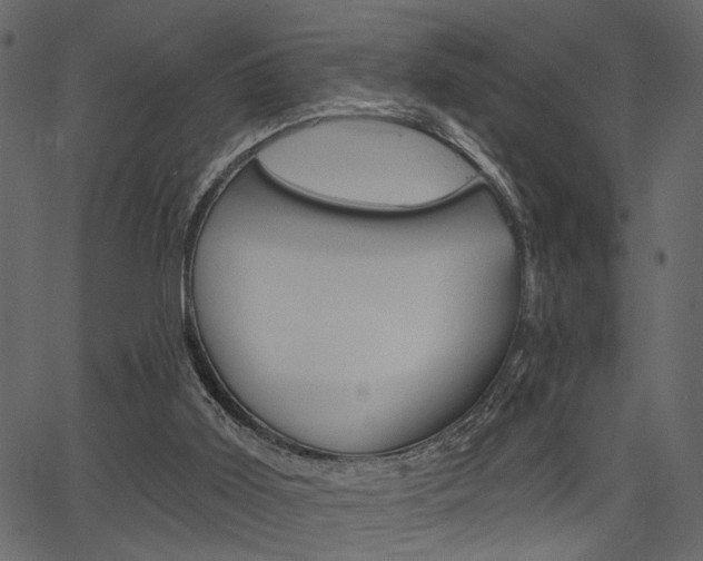 X0000067390011200603311007