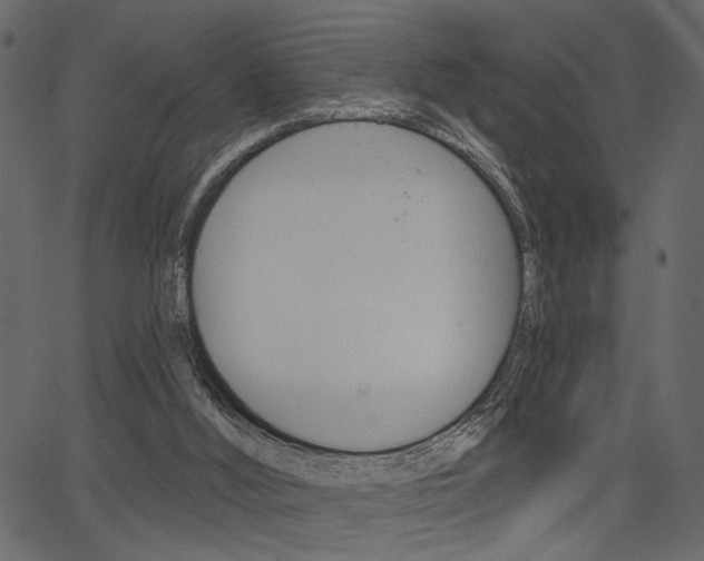 X0000067390012200603311007