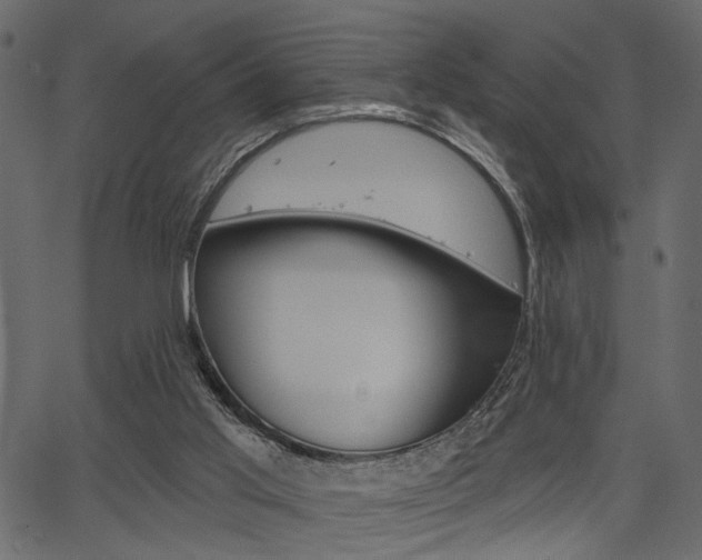 X0000067390013200603311007