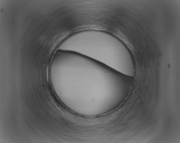 X0000067390014200603311007