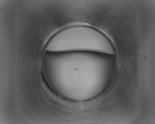 X0000067390015200603311007