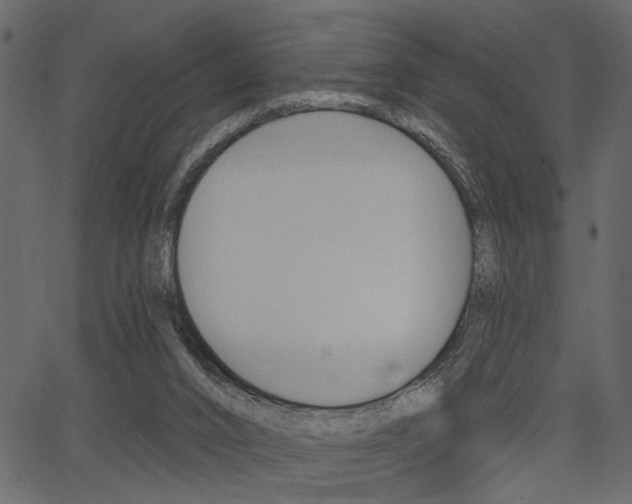 X0000067390016200603311007