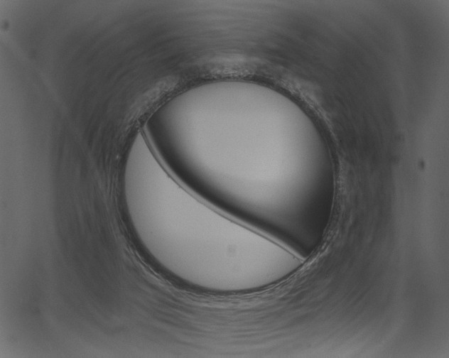 X0000067390017200603311007