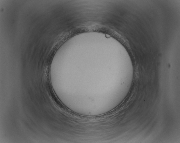 X0000067390018200603311007