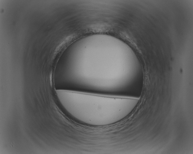 X0000067390019200603311007