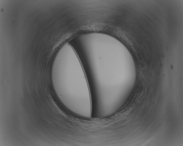 X0000067390020200603311007