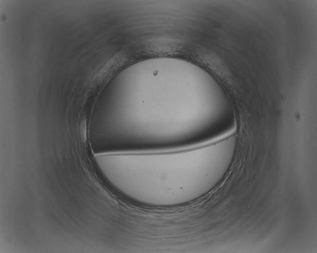 X0000067390021200603311007