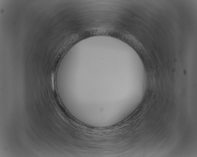 X0000067390022200603311007