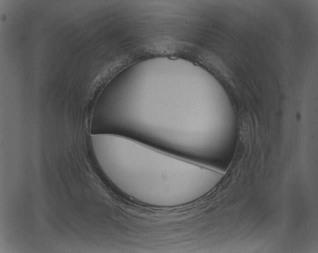 X0000067390023200603311007