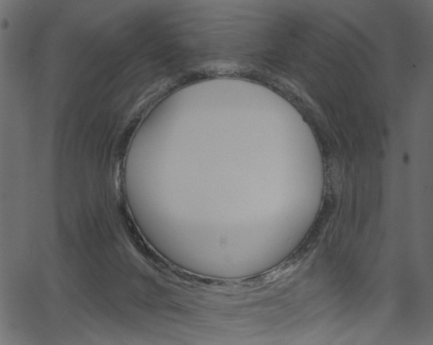 X0000067390024200603311007