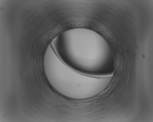 X0000067390025200603311007