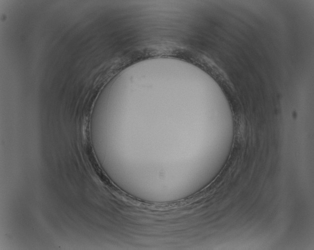 X0000067390026200603311007