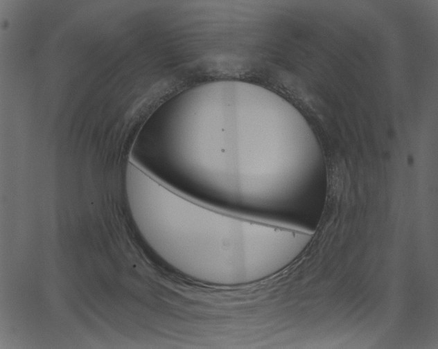 X0000067390027200603311007