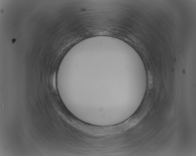 X0000067390028200603311007