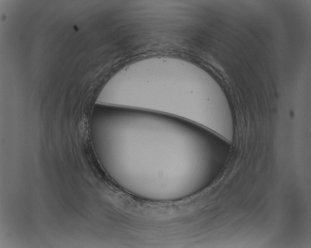 X0000067390029200603311007