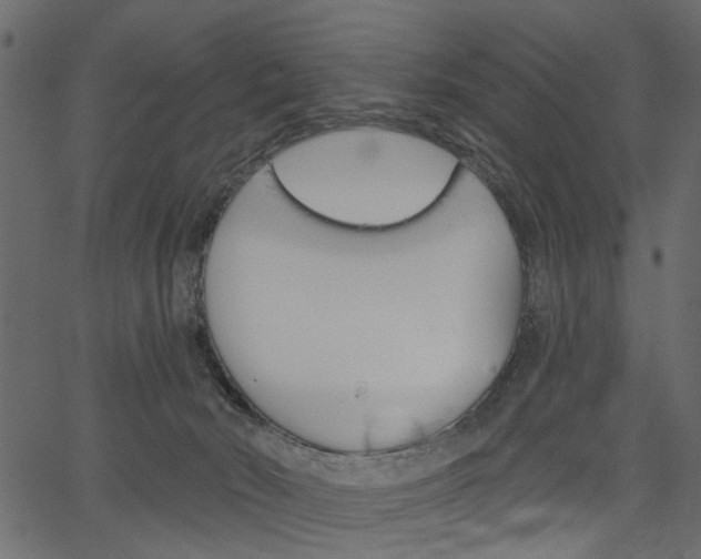 X0000067390030200603311006