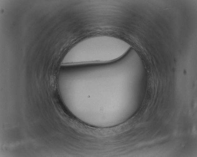 X0000067390031200603311006