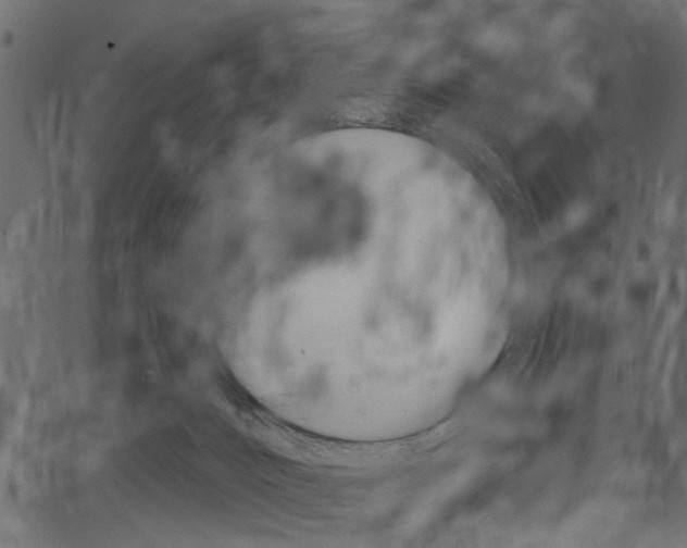 X0000067390032200603311006