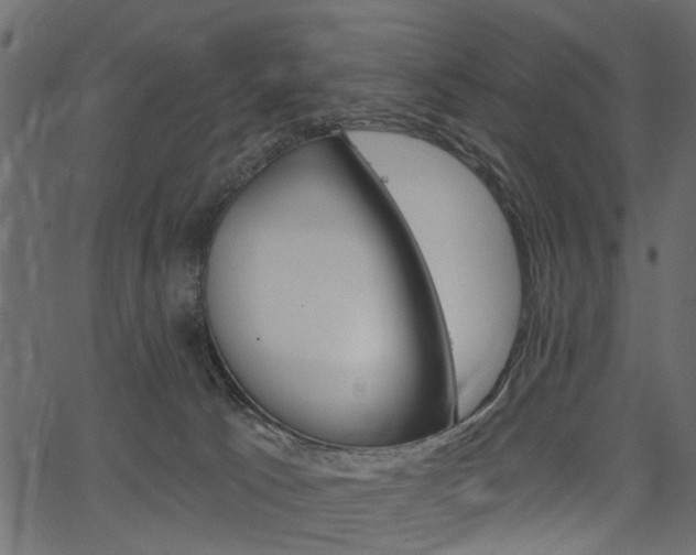 X0000067390033200603311006